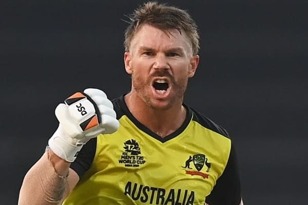 David Warner will not play the five-match T20I series against India